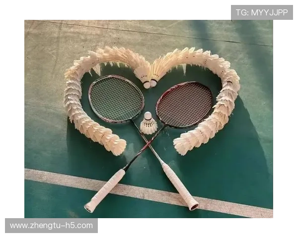 爱羽直播平台:羽毛球爱好者的专属互动天地